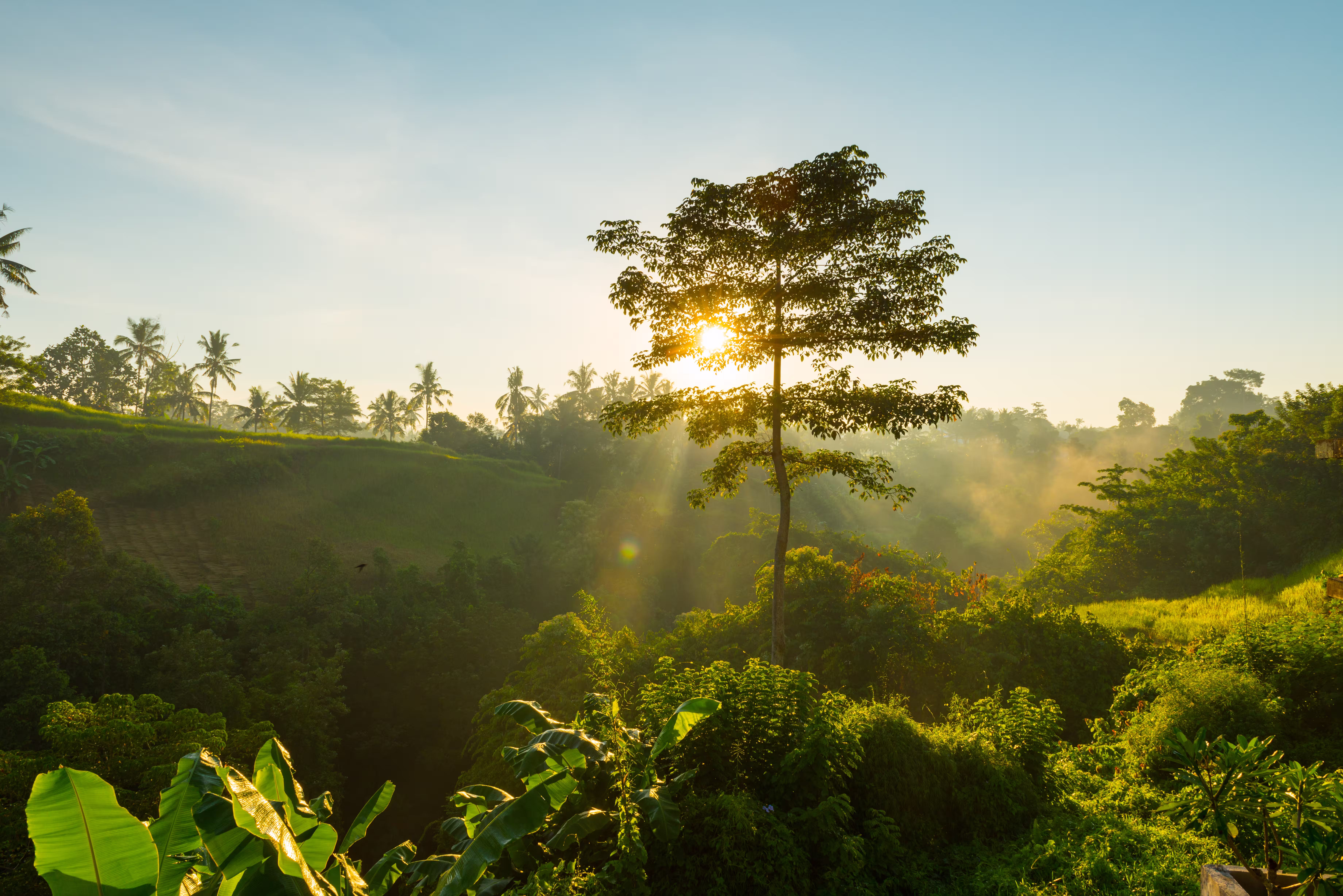 Gestión ambiental