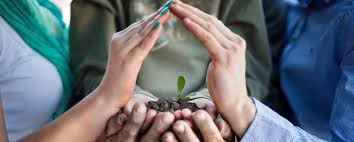 Gestión Ambiental MOSS