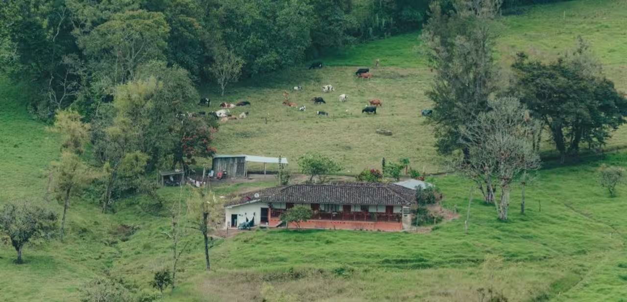 Innovación Ambiental MOSS